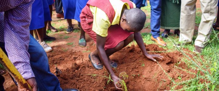 low-section-people-digging-ground